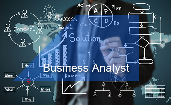 Business Analyst