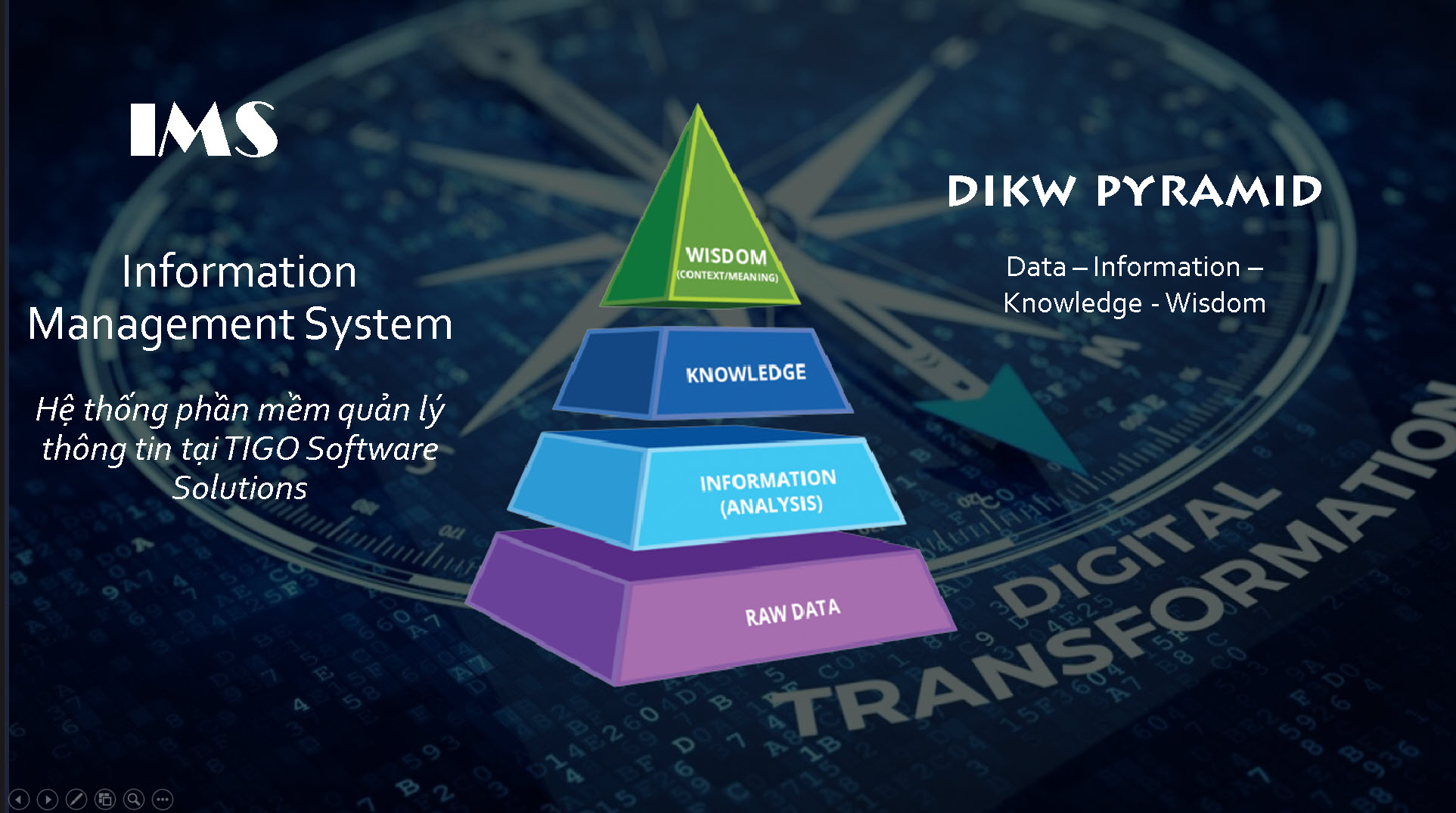 Hệ thống quản lý thông tin TIGO IMS