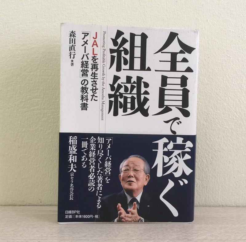 Amoeba Management System - Transformation in the Light of Organisational Change Literature