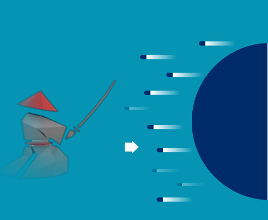 Risk Management Strategies of Japanese Companies