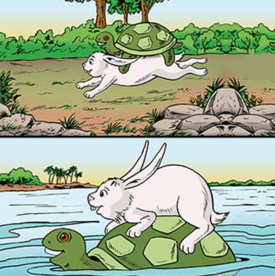 Thỏ và rùa - Hợp tác cùng có lợi