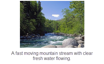 Fast moving mountain stream