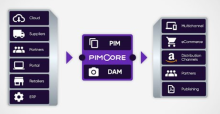 What are the advantages and disadvantages of Pimcore?