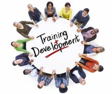 IT Training and Development: The most effective options for upskilling IT staff