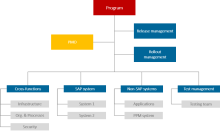 What is the IT Program Management?