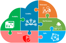 Software Business and Development Insights