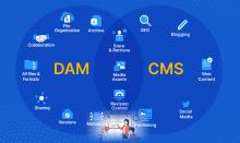 DAM vs. CMS: What's the difference?