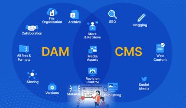 DAM vs. CMS: What's the difference?