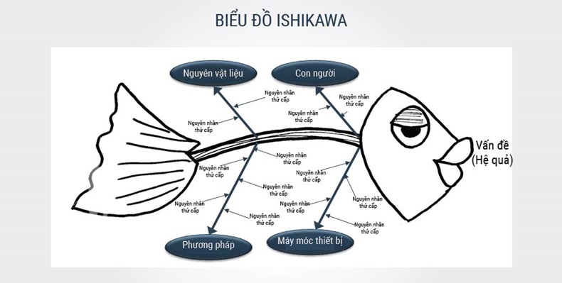 Biểu đồ Ishikawa - Khám phá biểu đồ Ishikawa để tìm hiểu cách tìm nguyên nhân gốc rễ của vấn đề trong doanh nghiệp và cải thiện quy trình sản xuất. Hình ảnh minh họa sẽ giúp bạn hiểu rõ hơn về phương pháp này được sử dụng rộng rãi trong quản lý chất lượng.