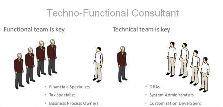 What Is The Techno Functional Consultant TIGO SOFTWARE