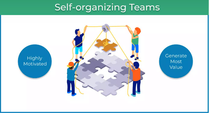 Self-organizing Teams Generate Most Value