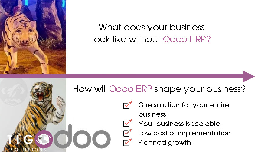 How will Odoo ERP shape your business?