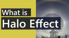 Hiệu ứng Halo effect trong quản lý nhóm dự án