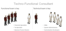 What is the Techno Functional Consultant?