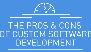 What Are The Advantages and Disadvantages of Custom Software?