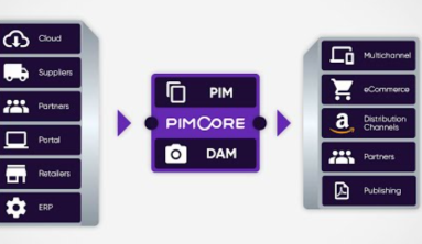 What are the advantages and disadvantages of Pimcore?