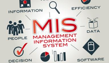 What is MIS (Management Information Systems)?