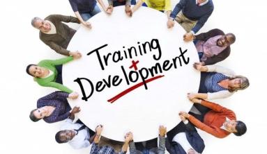 IT Training and Development: The most effective options for upskilling IT staff
