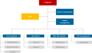 What is the IT Program Management?
