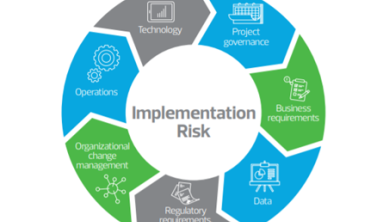 What are the Risks When Adding an ERP System?