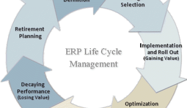 ERP (Enterprise Resource Planning) Implementation Life Cycle